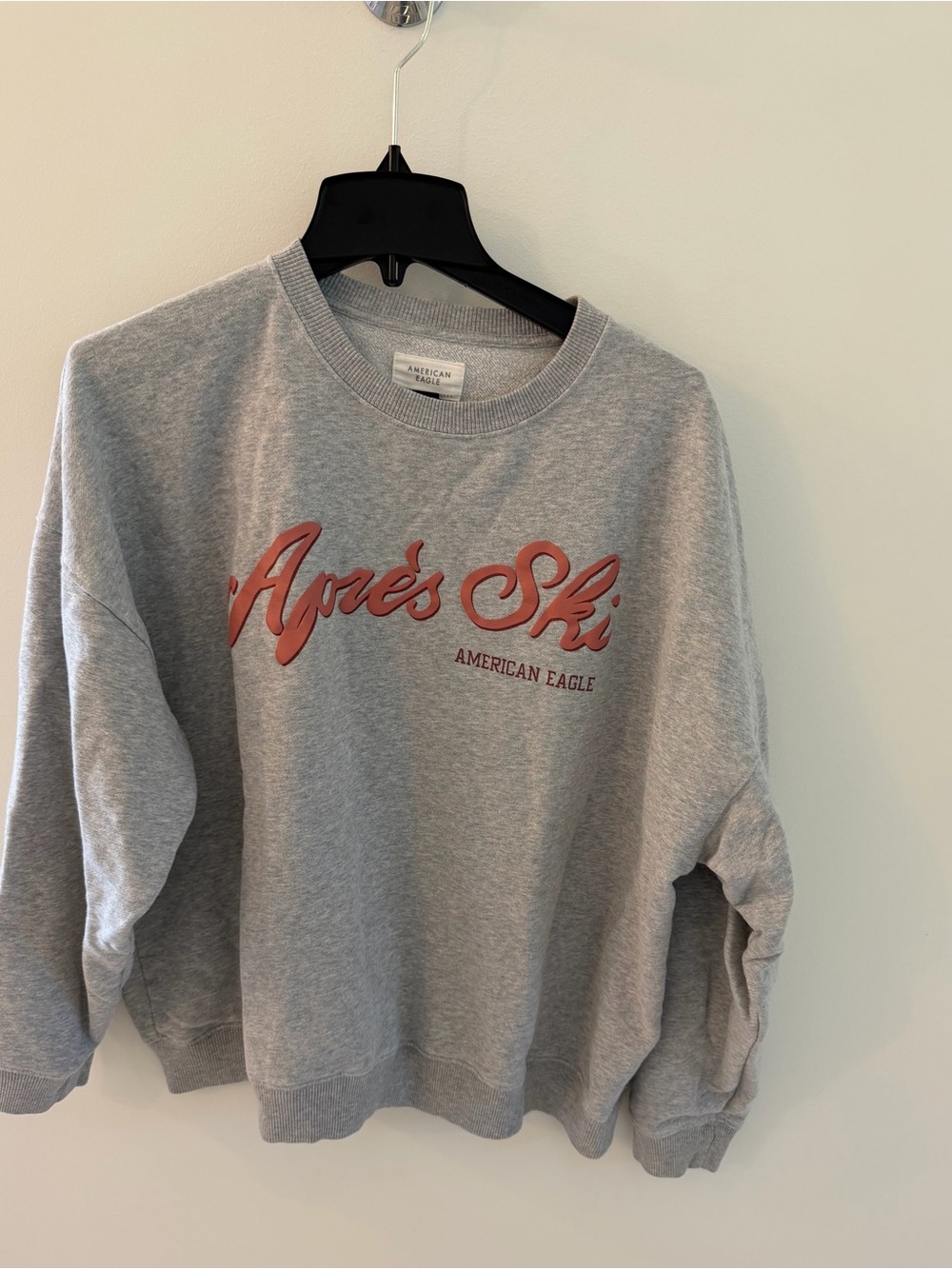 American Eagle Outfitters Gray Sweatshirt with Pink Script